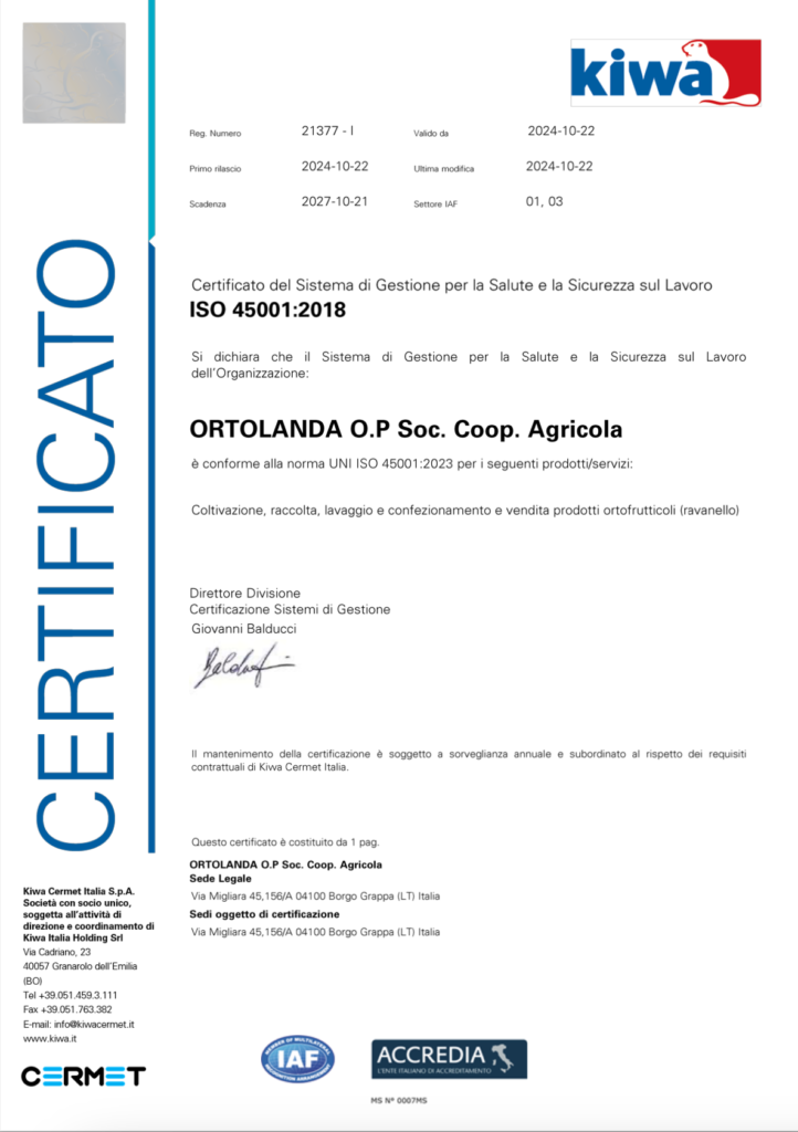 ISO 45001 Borgo Grappa 2024