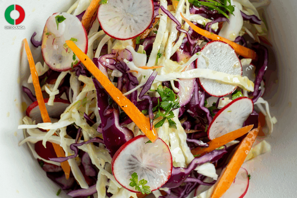 Recipe Colourful Radish Coleslaw
