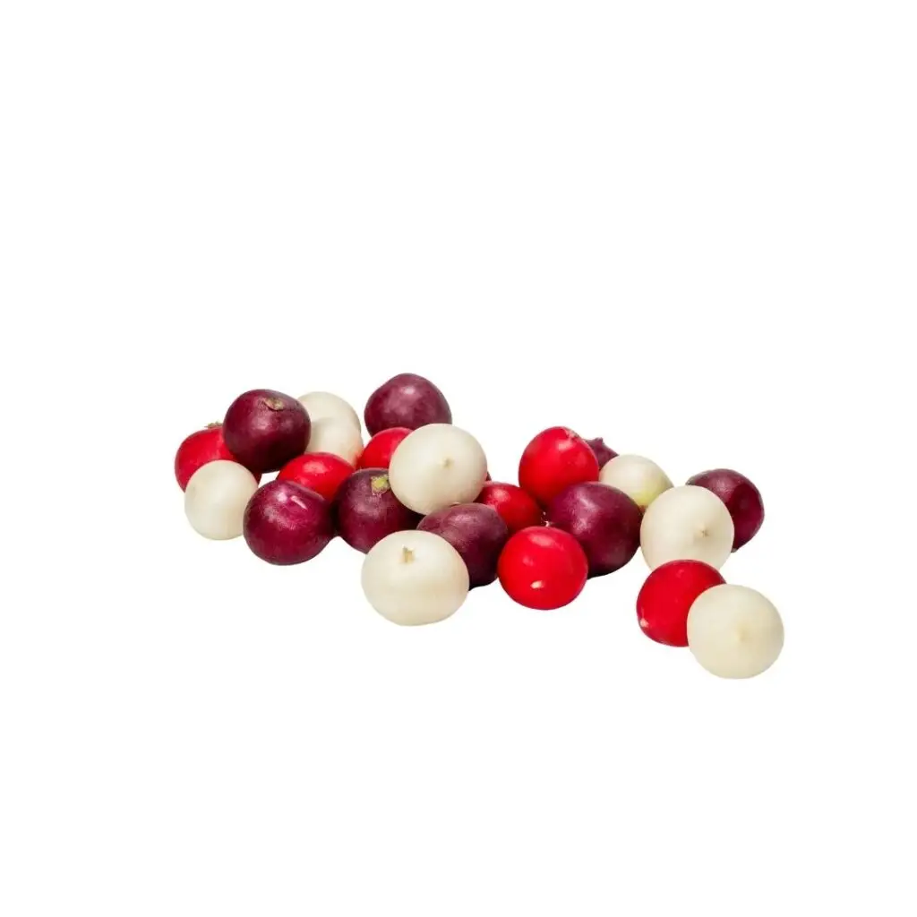 radish-mix-ortolanda