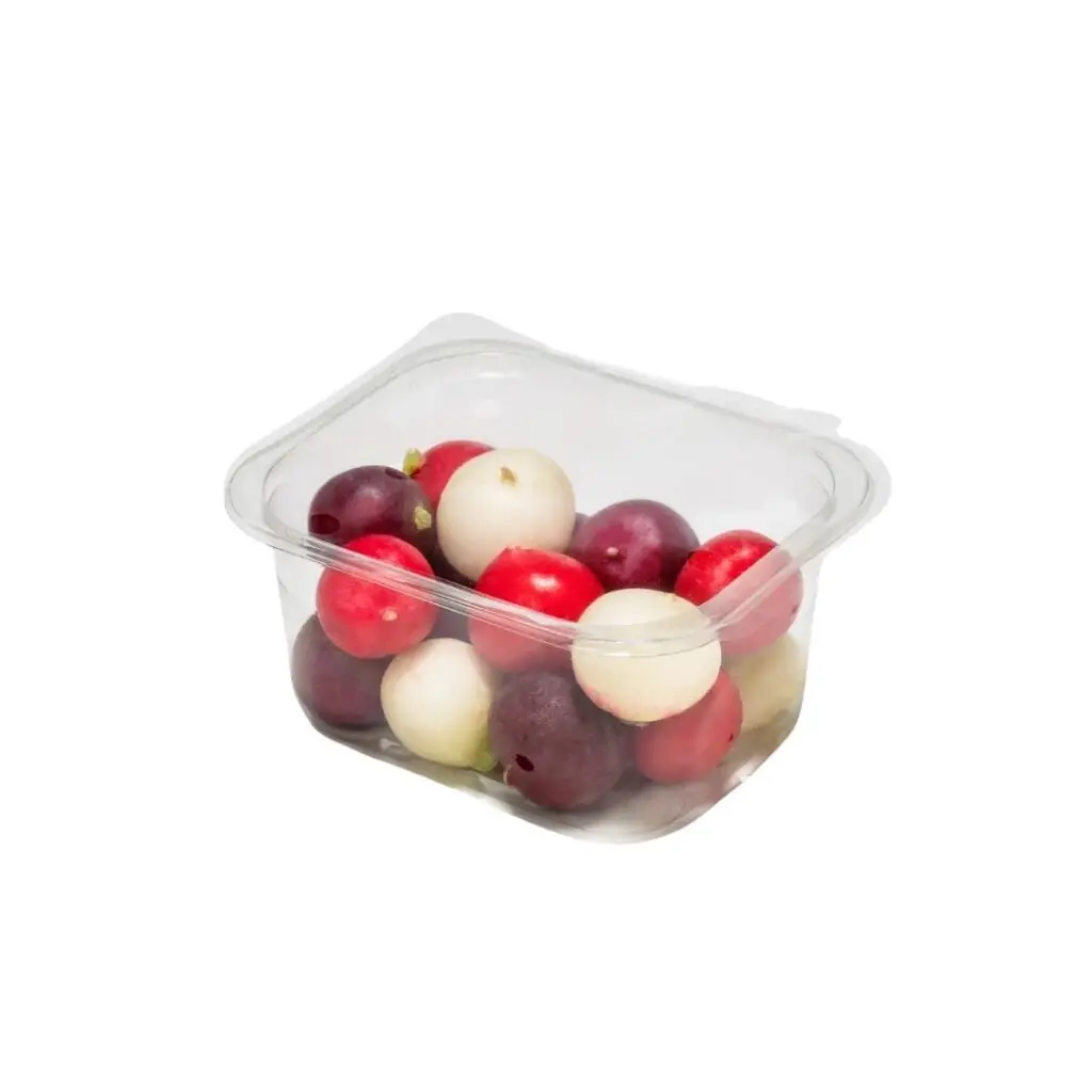 topseal-radish-mix-ortolanda