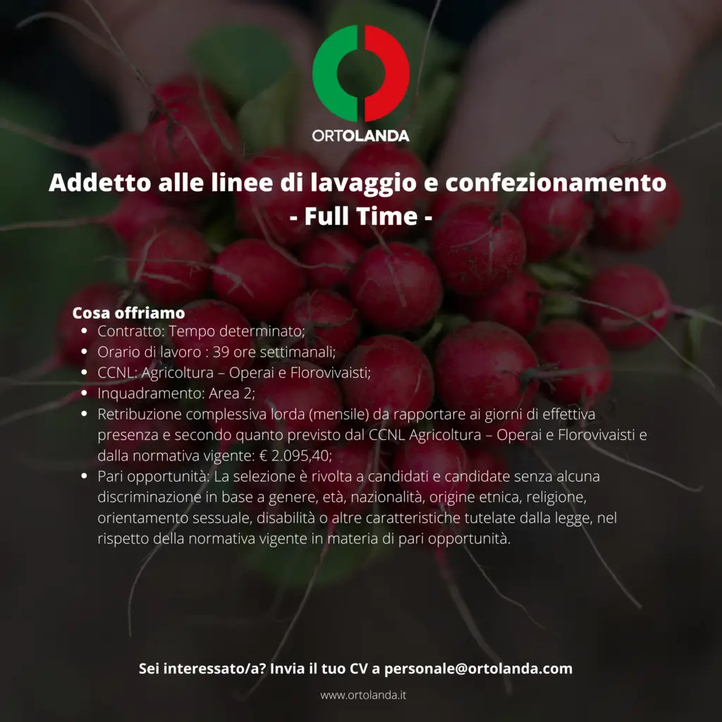 Addetto alle linee di lavaggio e confezionamento 2