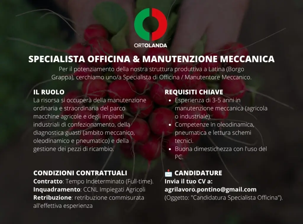 SPECIALISTA OFFICINA & MANUTENZIONE MECCANICA