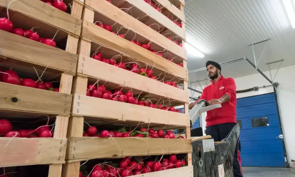 Borgo Grappa logistics