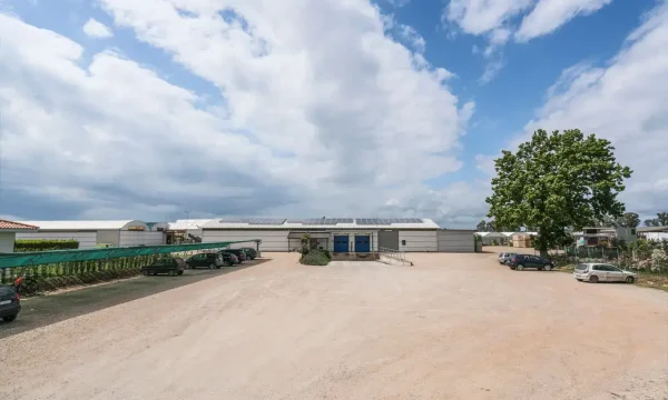 Ortolanda Borgo Grappa